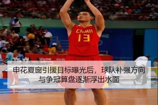 申花夏窗引援目标曝光后，球队补强方向与争冠算盘逐渐浮出水面
